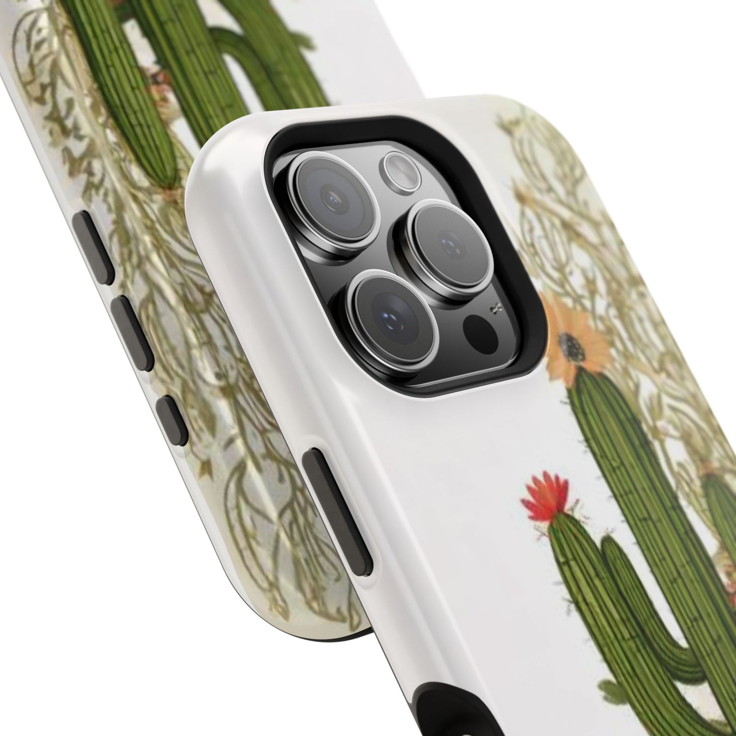 Cactus Case