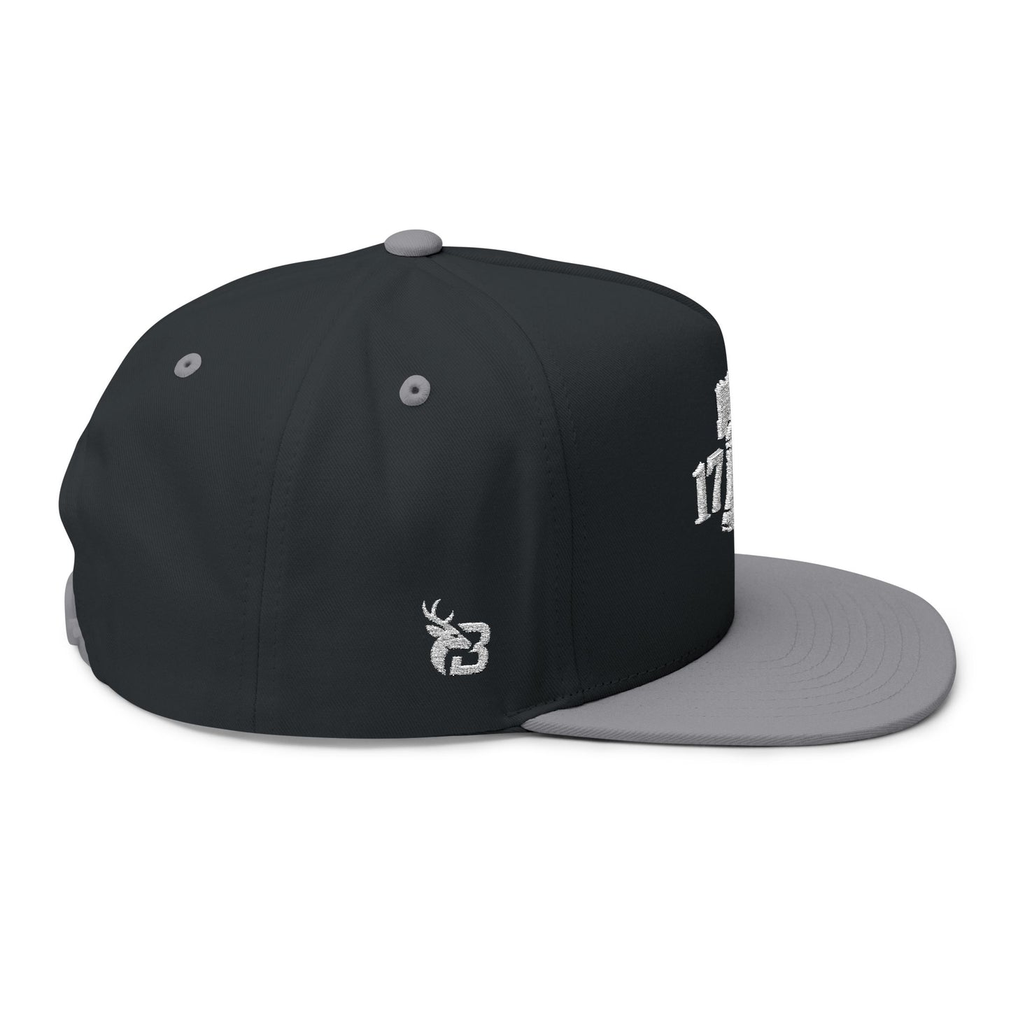 1776 SnapBack Southern Bucks
